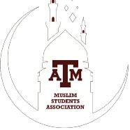 TAMU MSA